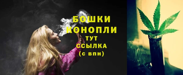 дмт Арсеньев