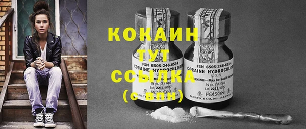 ECSTASY Приозерск