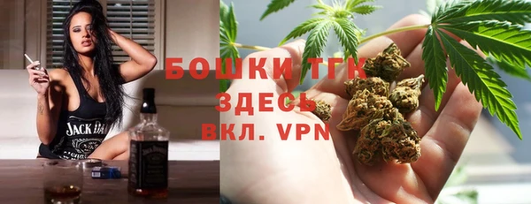 дмт Арсеньев