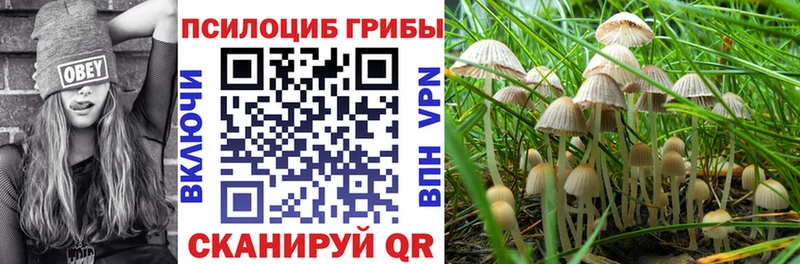 Галлюциногенные грибы ЛСД  Магас 