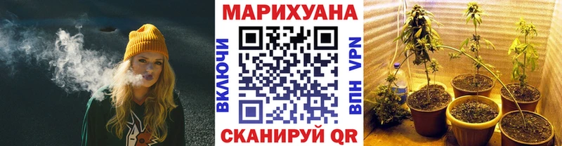 где продают наркотики  Магас  Бошки марихуана семена 
